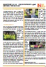 Monatsblatt Netzwerk 2025 05